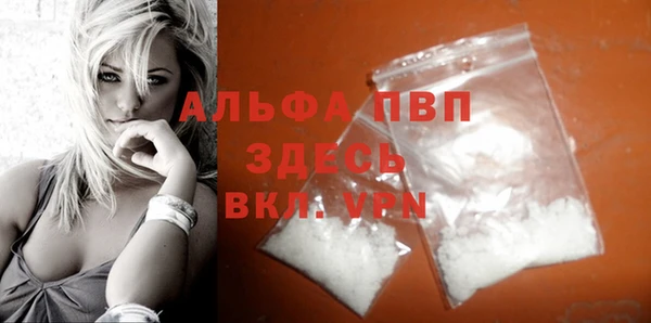 шишки Каменка