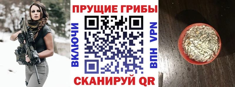 Псилоцибиновые грибы Cubensis Очёр