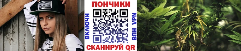Каннабис конопля  ОМГ ОМГ ТОР  Очёр 